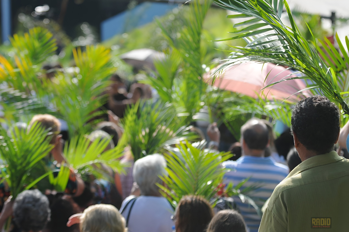 Ramos abençoados durante celebração que marca o início da Semana Santa